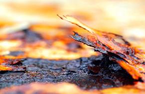 Abstract Rust Expiration