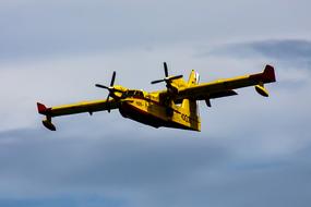 Seaplane Fire Fighting Aircraft