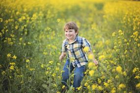 yellow Flowers and Boy