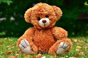 Teddy Cute Soft Toy