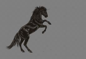 unicorn black horse art