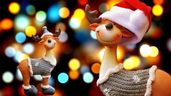 Moose Christmas Motif