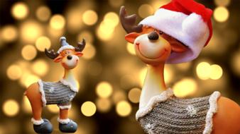 Moose Christmas Motif