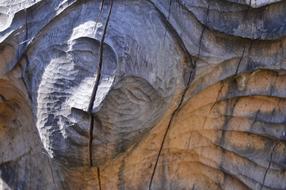 Wood Figure face
