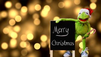 Kermit Frog Christmas Santa