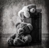 plush toy childhood bear cub
