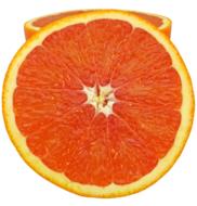 Orange Citrus Fruit