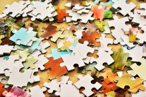 Pieces Of The Puzzle