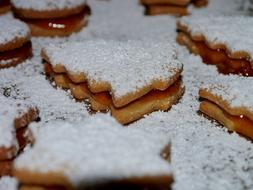 Christmas Bake Cookies