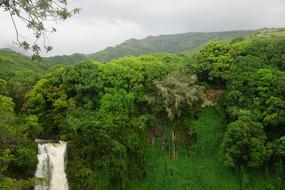 Hawaii Maui Waterfall