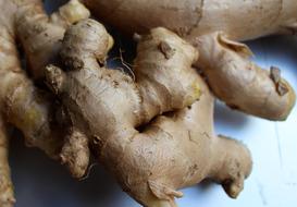 fresh ginger root