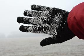 Winter Hand Frost