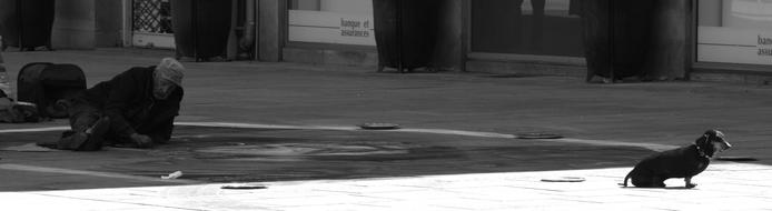black and white photo of Nantes Dog on street