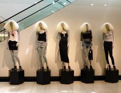 Shopping Dolls Wigs
