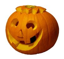 Pumpkin Halloween Autumn