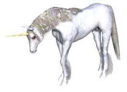 unicorn fantasy fairy tale white