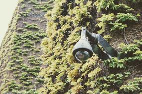 London Monitoring Camera