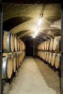 Cellar Wine Botti