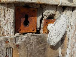 white wooden handle on a rusty lock.