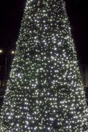 Christmas Tree The Lights