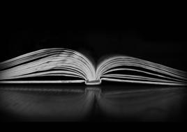 Book Darkness In The Dark