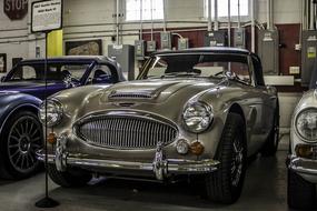 Austin Healey Car
