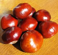 hard ripe nuts