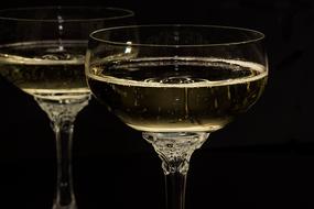 Champagne Glasses