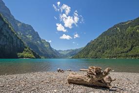 wooden pole on the beach by the lake