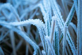 Ice Eiskristalle Frost