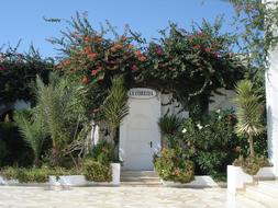 Tunisia Maritime House and flowers