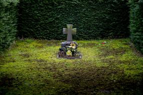 Grave Cemetery view