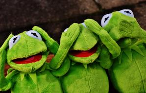 funny frogs emotion toys