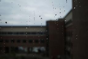 Non Tabitha Window