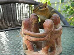 Chipmunk Friends Posing
