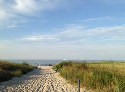 green grass with sand by the sea