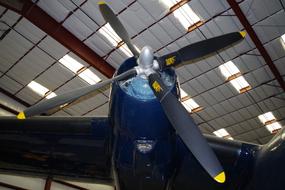 Plane Propeller Blue