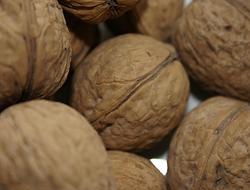 close up of the nuts