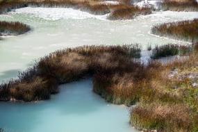 Yellowstone National Park Wyoming