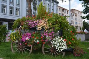 Flowers Arrangement Wheel
