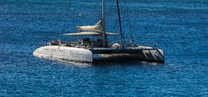 Catamaran Sea Blue