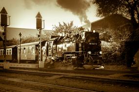 Locomotive Train Steam