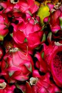 Bali Red Fruits Exotic