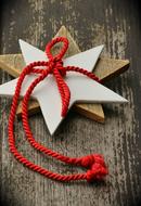 Poinsettia Star Christmas