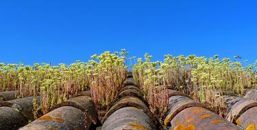 Roofing Tile Terracotta