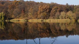 beautiful reflection of the forest in the lake