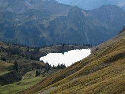 Foghorn Alpine Allgäu