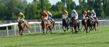 Hippodrome Horse Race