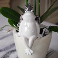 ceramic princess frog on a flower pot