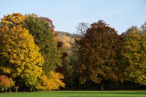 Autumn Leaves Fall